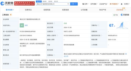 科大訊飛在黑龍江成立智研院科技公司，布局AI基礎(chǔ)軟件開發(fā)新藍圖
